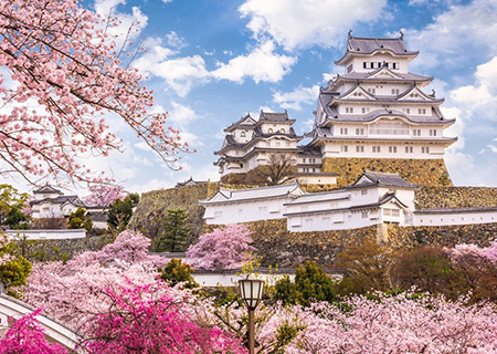 【花現關西５日】粉妝和歌山城．秘境櫻大佛壺阪寺．可愛奈良小鹿．京和服漫步．粉色鐵道漫步．瘋遊環球影城