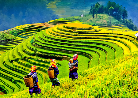【珍愛越南】山城沙壩秘境．高空雲端纜車．蘭夏天堂巡遊美食5日