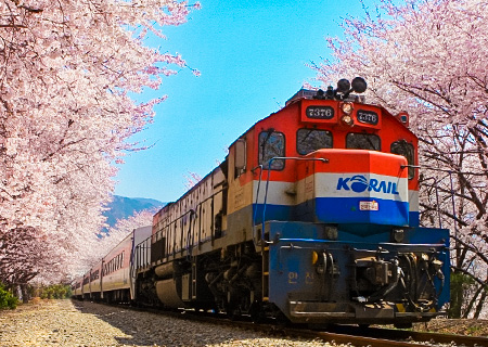 《不進人蔘、保肝》鎮海櫻花戀釜慶5日~升等四星兩晚、校村韓服賞櫻花、X SKY觀景台、蔚藍海景咖啡、龍蝦一隻雞