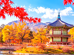 讓韓國的歷史古蹟和現代都市帶你進入一場夢幻之旅，享受無盡的娛樂。